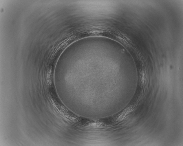 X0000057080364200509161610