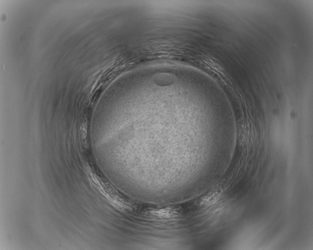 X0000057080365200509161610