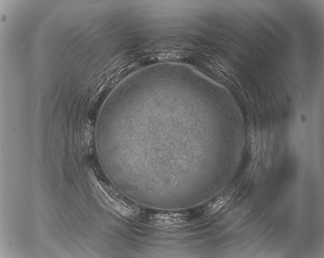 X0000057080367200509161610