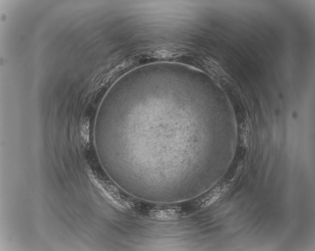 X0000057080368200509161610