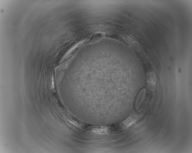 X0000057080369200509161610