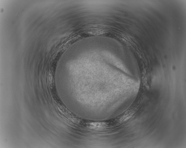 X0000057080371200509161610