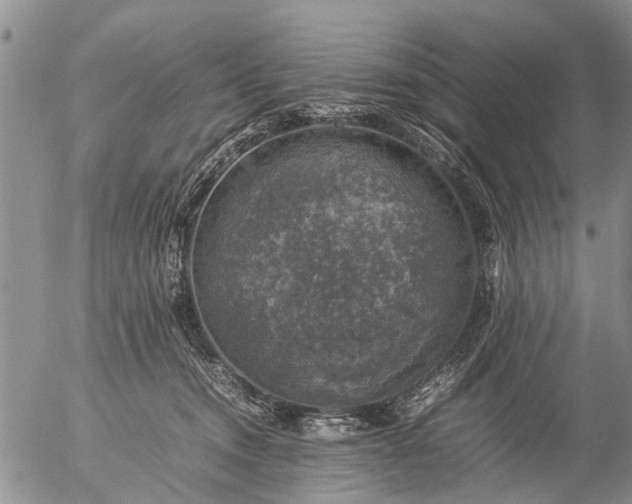 X0000057080372200509161610