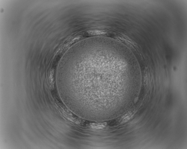 X0000057080373200509161610