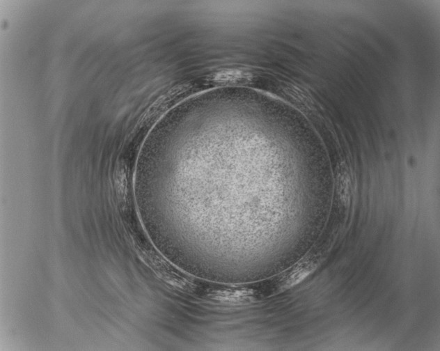 X0000057080375200509161610