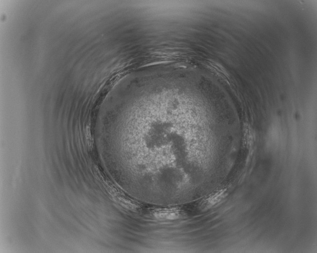 X0000057080377200509161610