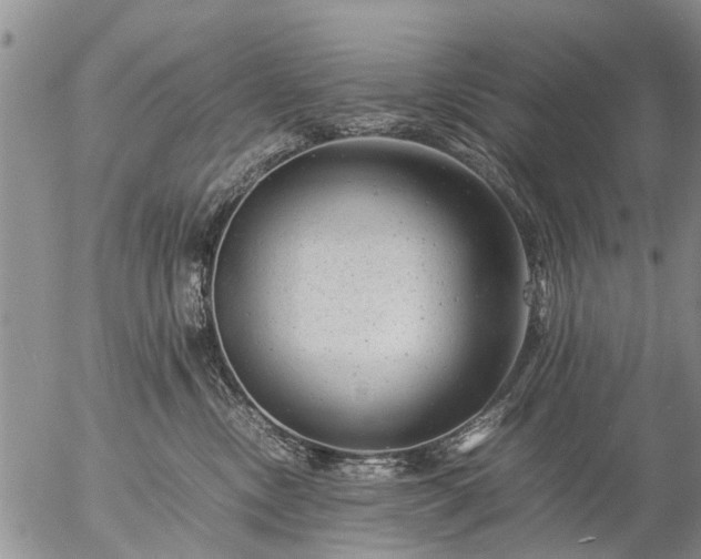 X0000057080378200509161610