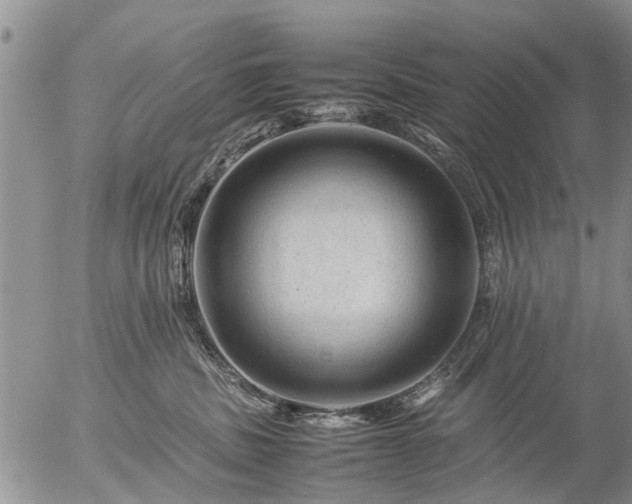 X0000057080379200509161610