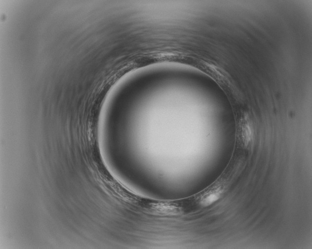 X0000057080380200509161610