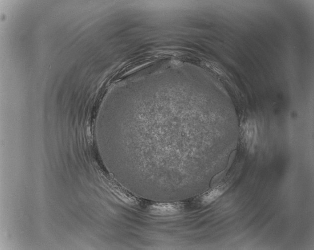 X0000057080381200509161610