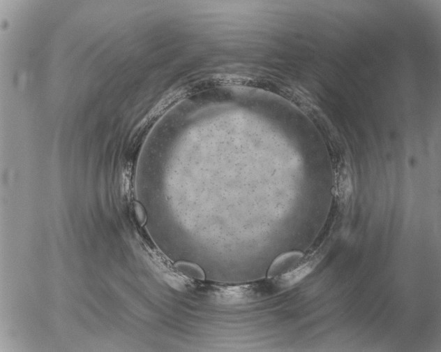 X0000057080382200509161610