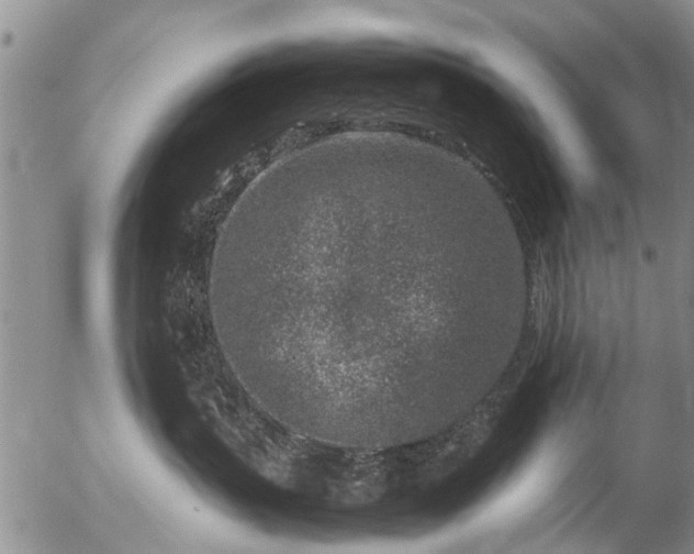 X0000057080383200509161610