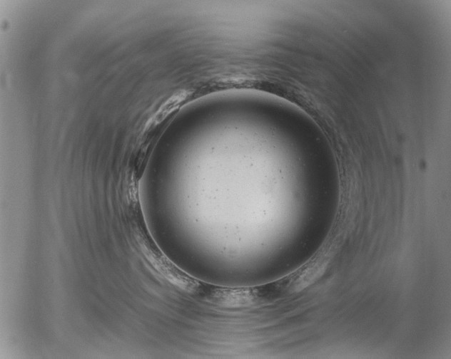 X0000057080384200509161610