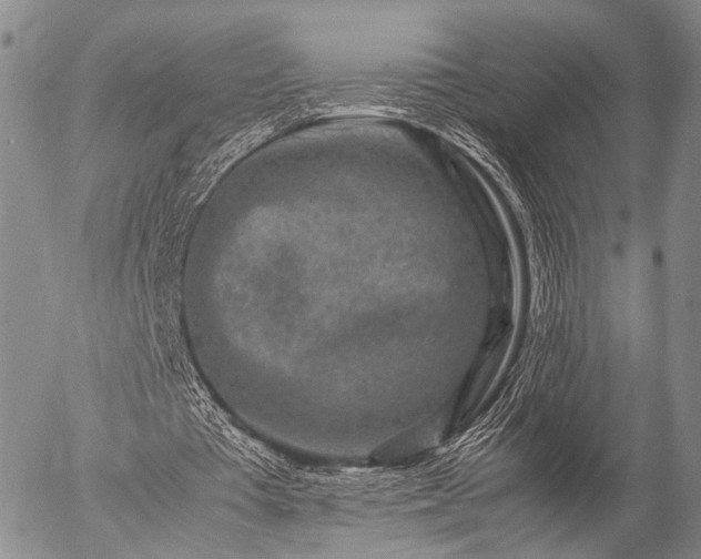 X0000057080385200509161609