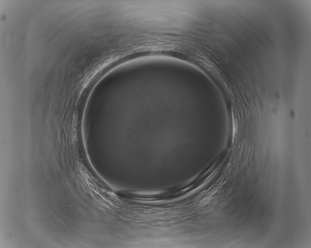 X0000057080387200509161609