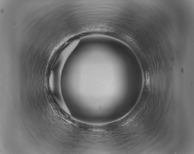 X0000057080388200509161609