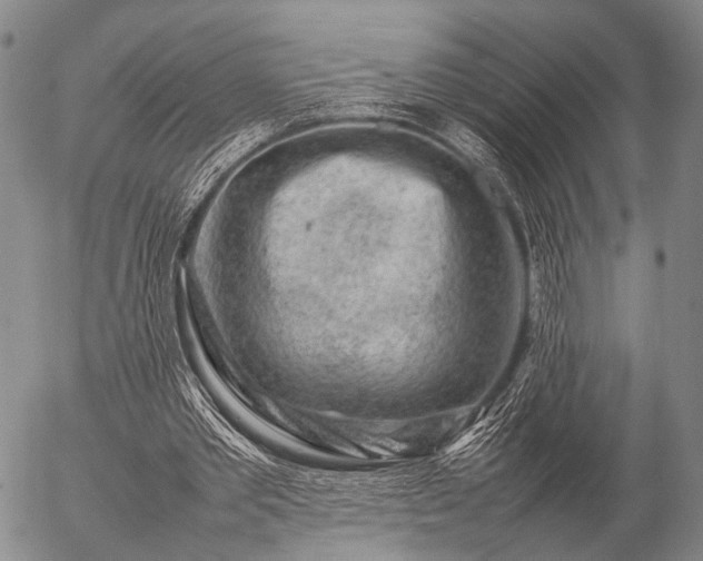 X0000057080389200509161609