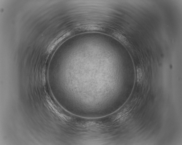 X0000057080390200509161609