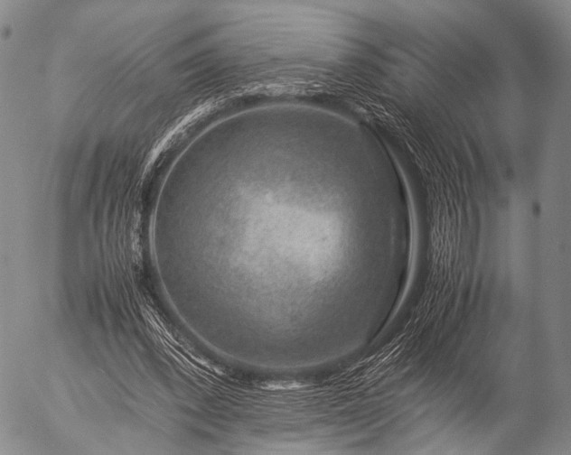 X0000057080392200509161609