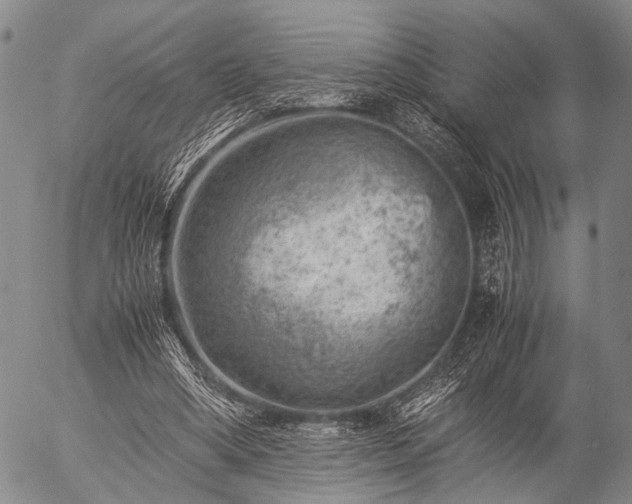 X0000057080394200509161609