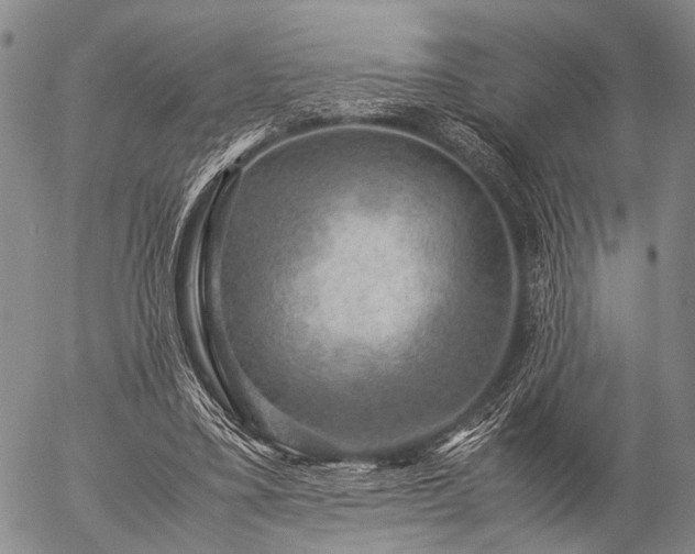 X0000057080395200509161609