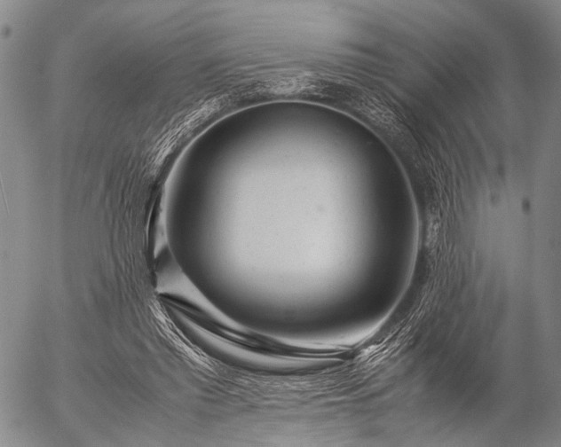 X0000057080397200509161609