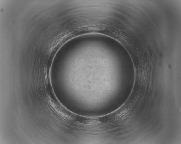 X0000057080398200509161609