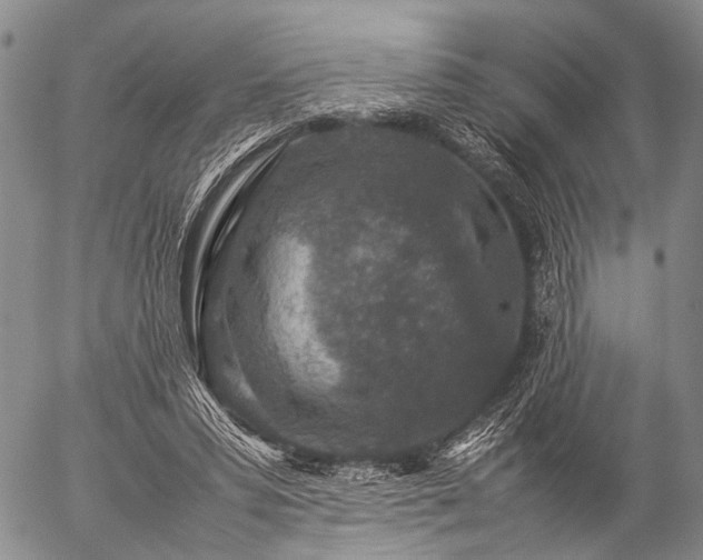 X0000057080399200509161609