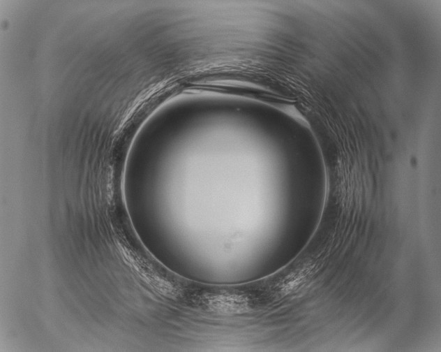 X0000057080400200509161609