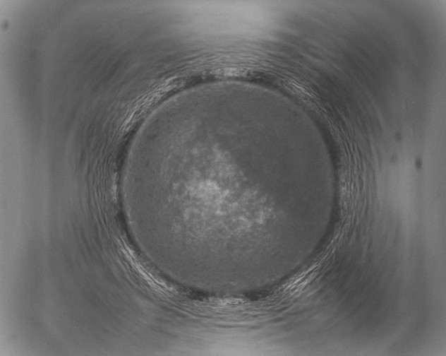 X0000057080401200509161609