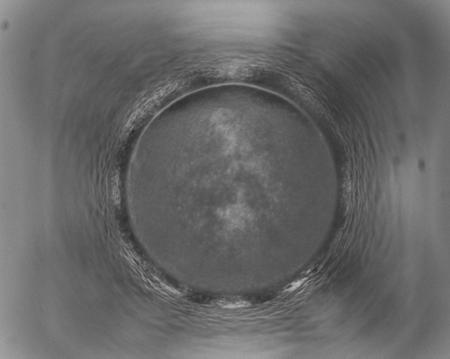 X0000057080403200509161609