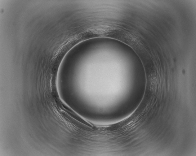 X0000057080404200509161609