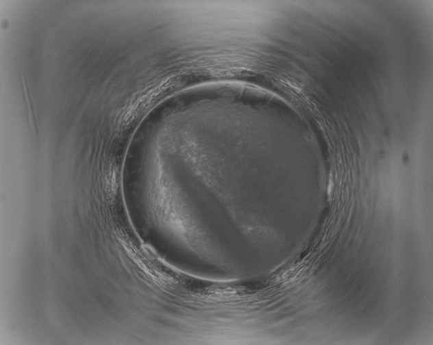 X0000057080405200509161609