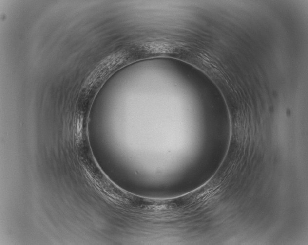 X0000057080406200509161609