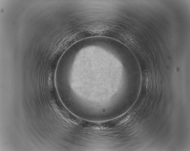 X0000057080408200509161609