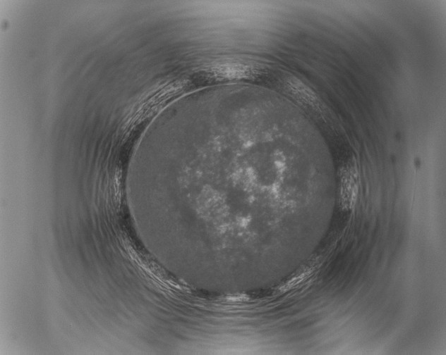 X0000057080410200509161609