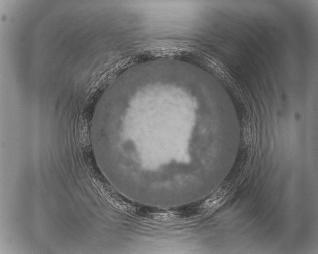 X0000057080411200509161609