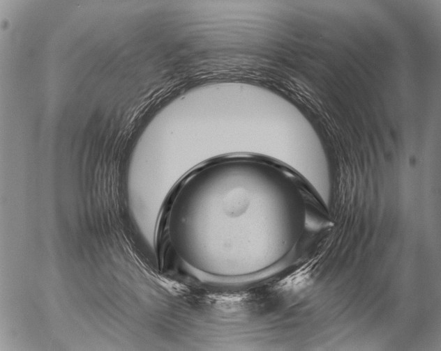 X0000057080412200509161609