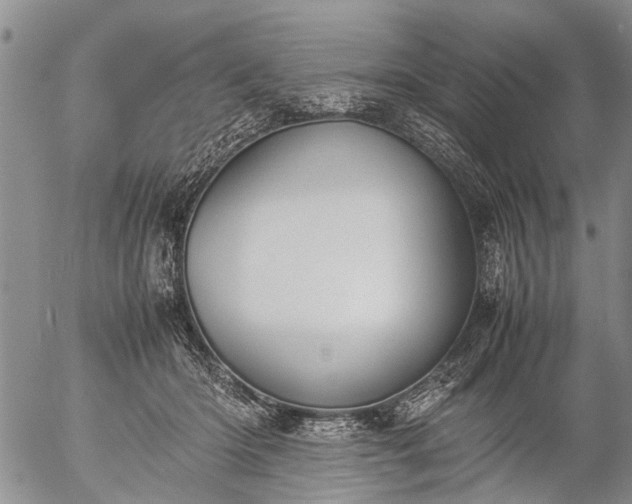 X0000057080414200509161609