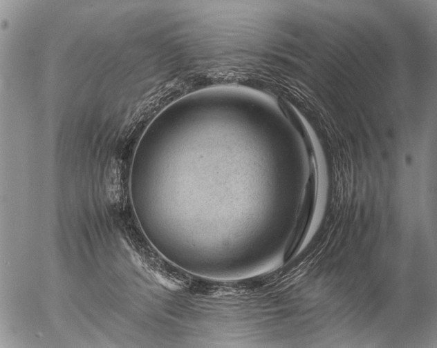 X0000057080416200509161609