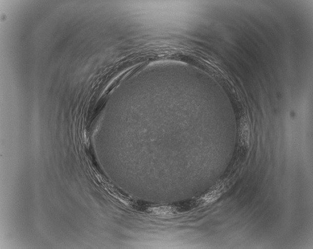 X0000057080417200509161609