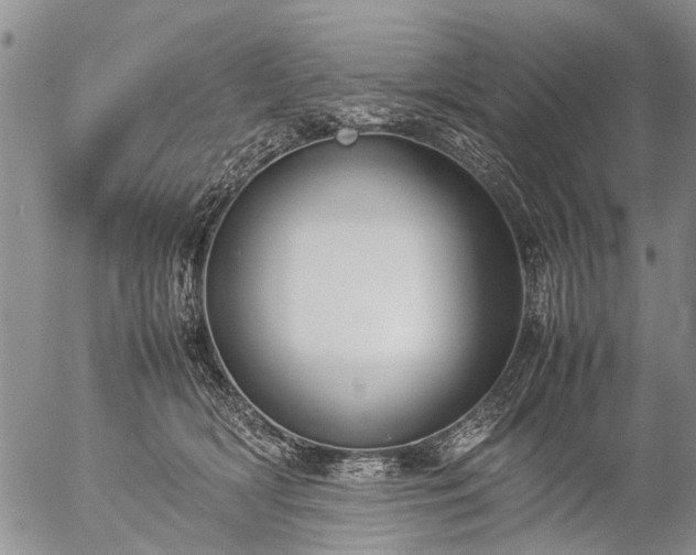 X0000057080418200509161609