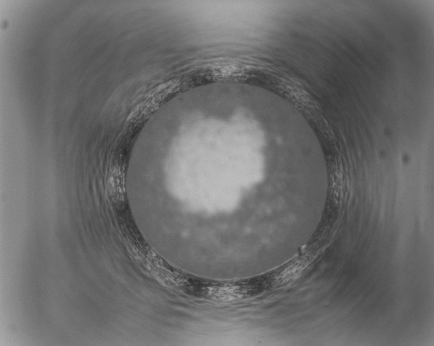 X0000057080419200509161609