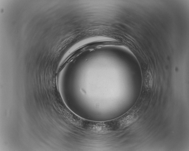 X0000057080420200509161609