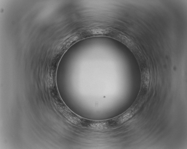 X0000057080422200509161609