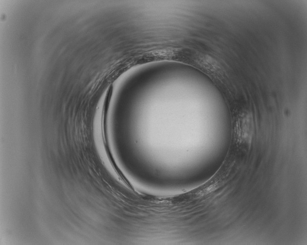 X0000057080424200509161609