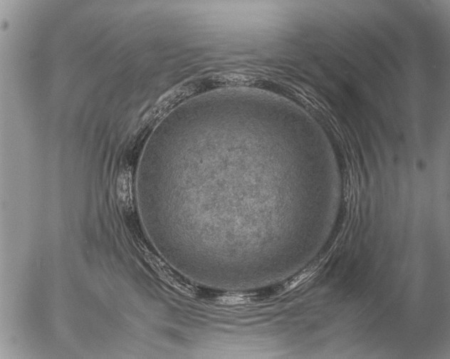 X0000057080425200509161609