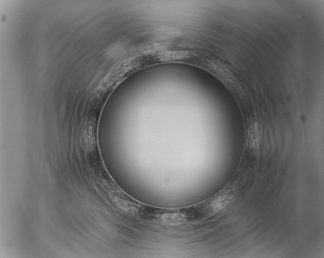 X0000057080426200509161609