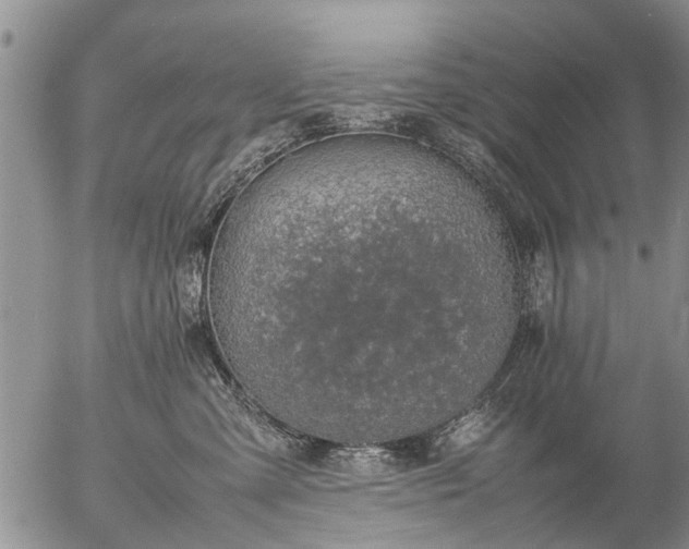 X0000057080427200509161609