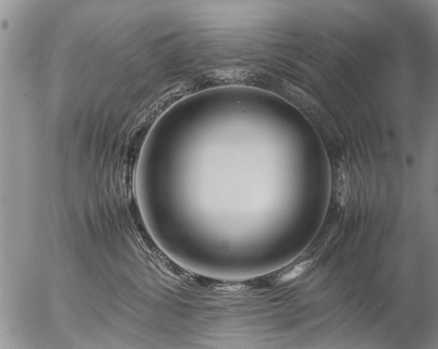 X0000057080428200509161609